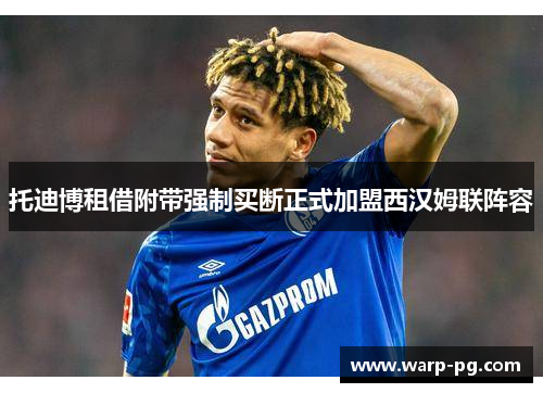 托迪博租借附带强制买断正式加盟西汉姆联阵容